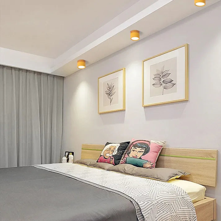 Minimalist Cylindrical LED Ceiling Light with Modern Dimmable Spotlight
