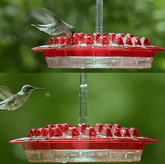 Hummingbird Feeder with Ant Moat Easy-Fill Hanging Outdoor Feeder