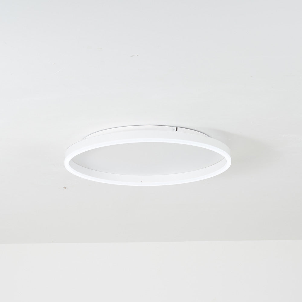 Round LED Flush Mount Ceiling Light for Living Room
