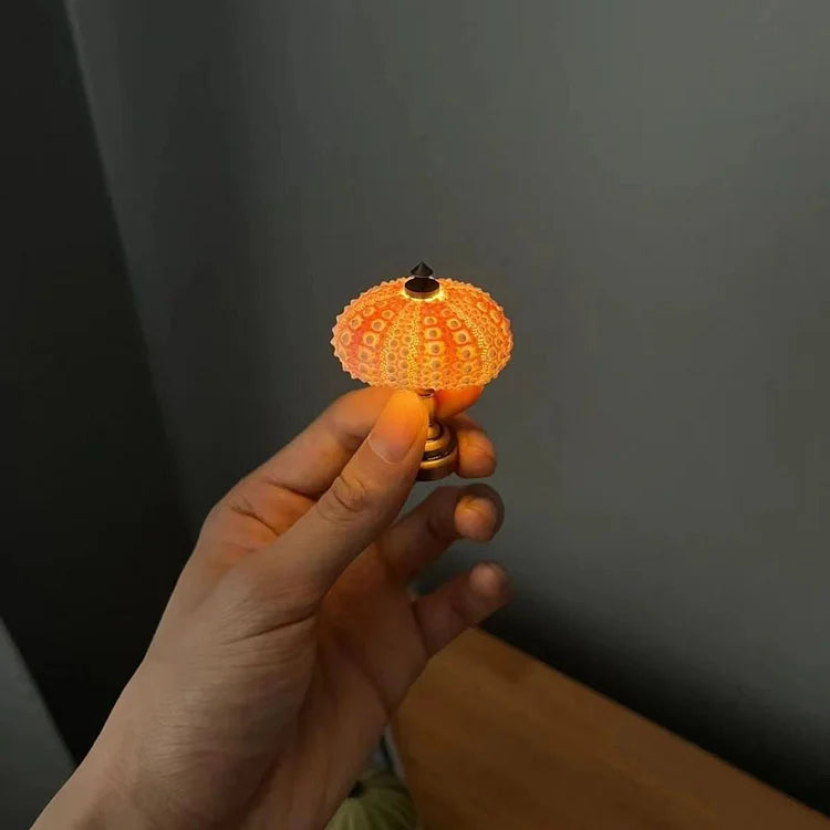 DIY Sea Urchin Bedroom Lamp - Vintage Creative Lamp Kit