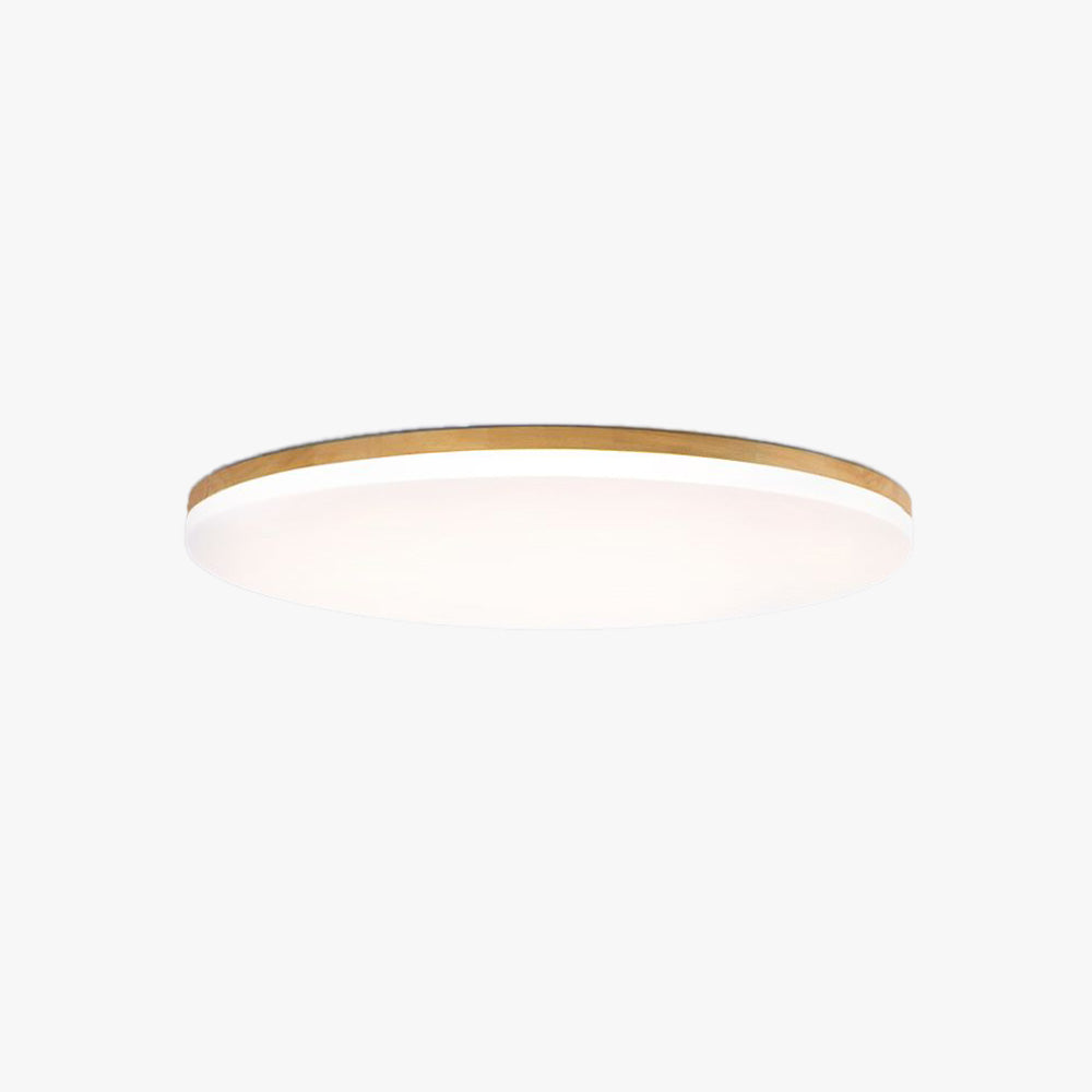 Modern Round Ceiling Light Warm Ambient Light for Home Interiors