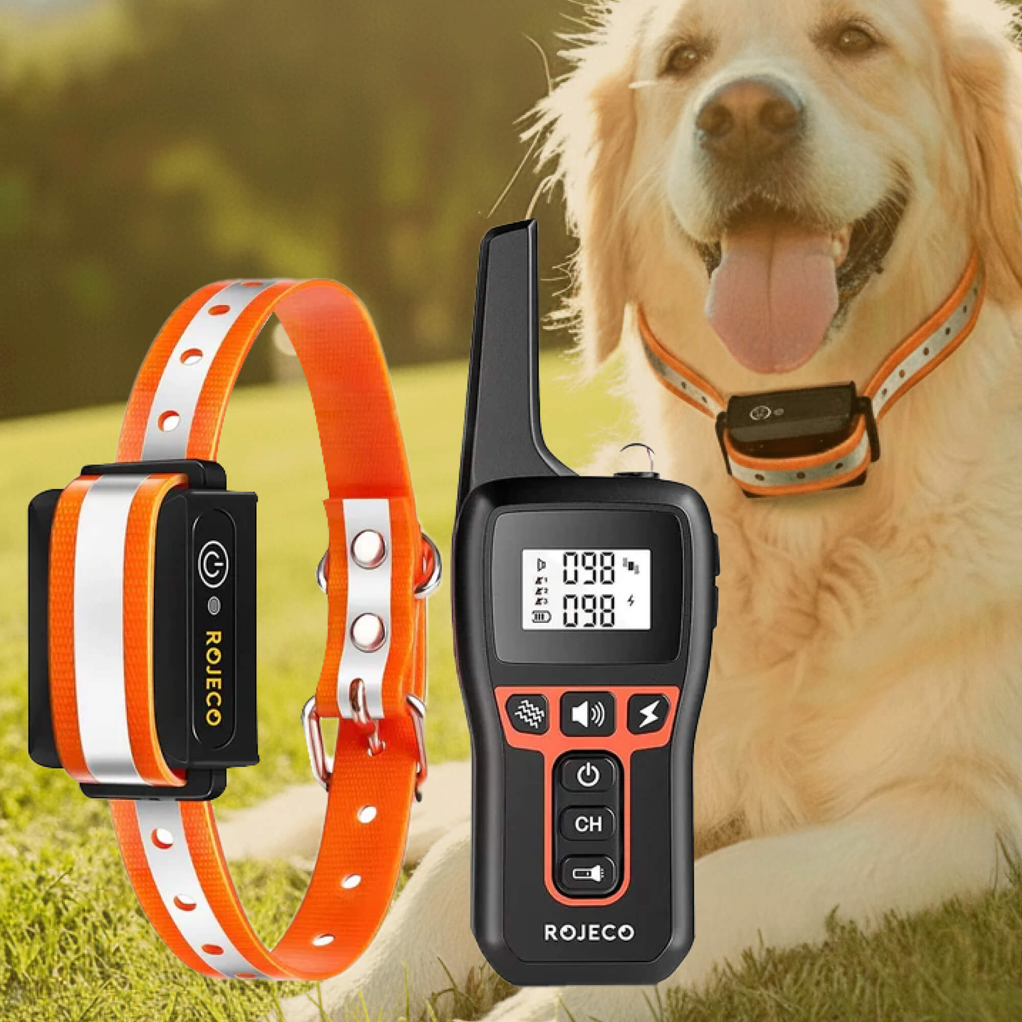 Dog Training Collar Long-Range Waterproof Remote for All Dog Sizes