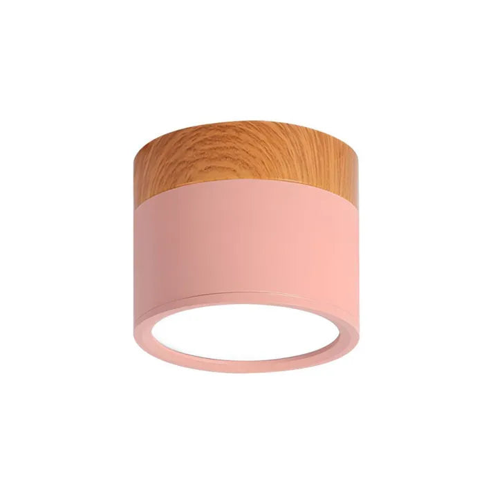 Minimalist Cylindrical LED Ceiling Light with Modern Dimmable Spotlight