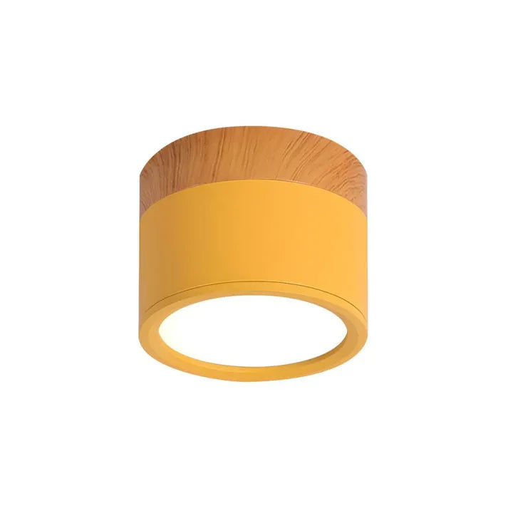 Minimalist Cylindrical LED Ceiling Light with Modern Dimmable Spotlight