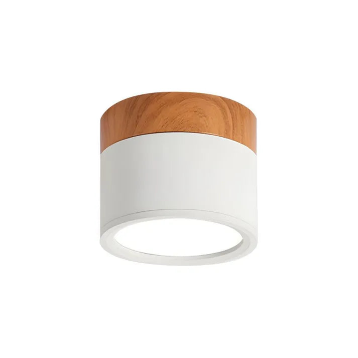 Minimalist Cylindrical LED Ceiling Light with Modern Dimmable Spotlight