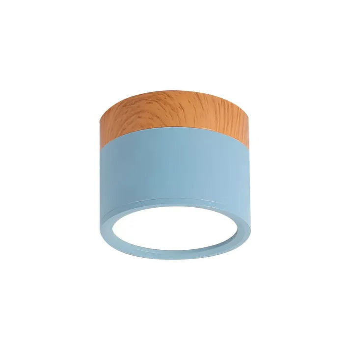 Minimalist Cylindrical LED Ceiling Light with Modern Dimmable Spotlight