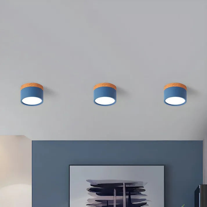 Minimalist Cylindrical LED Ceiling Light with Modern Dimmable Spotlight