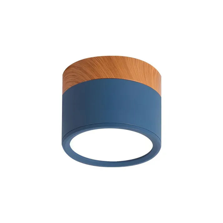 Minimalist Cylindrical LED Ceiling Light with Modern Dimmable Spotlight