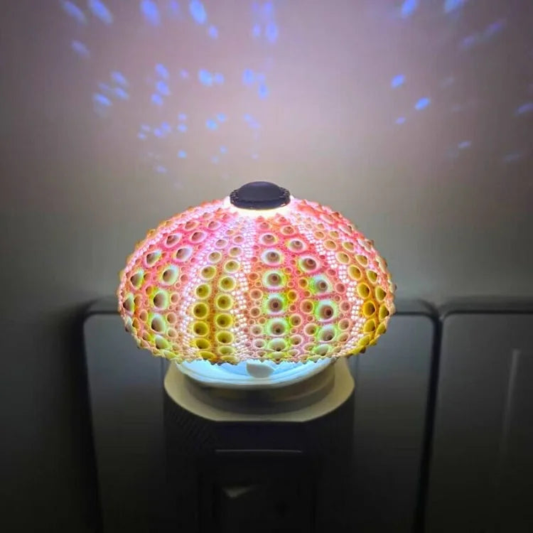 DIY Sea Urchin Bedroom Lamp - Vintage Creative Lamp Kit