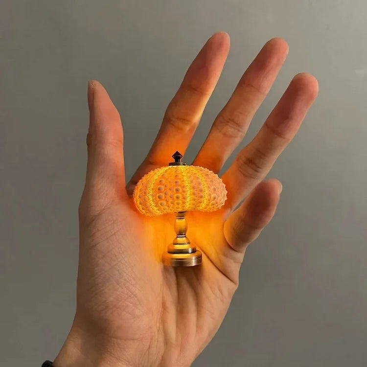 DIY Sea Urchin Bedroom Lamp - Vintage Creative Lamp Kit
