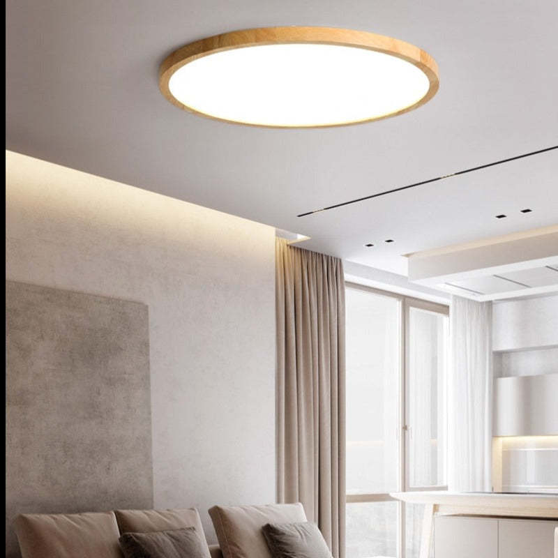 Minimalist LED Ceiling Light Modern Dimmable Fixture for Living Room & Bedroom