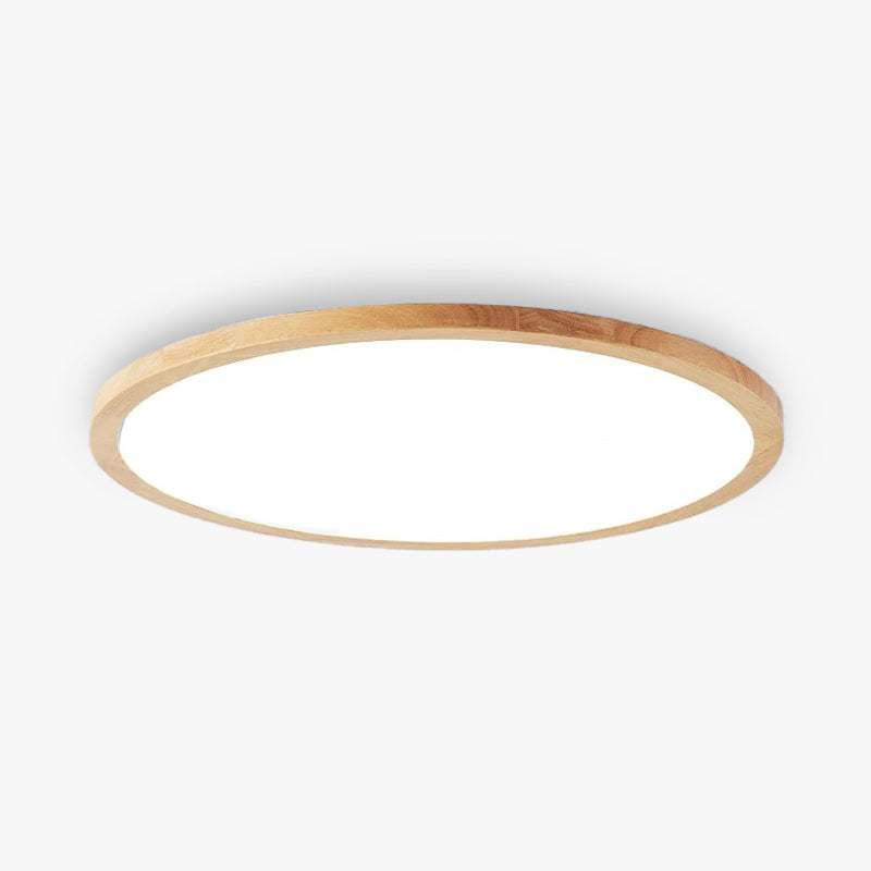 Minimalist LED Ceiling Light Modern Dimmable Fixture for Living Room & Bedroom