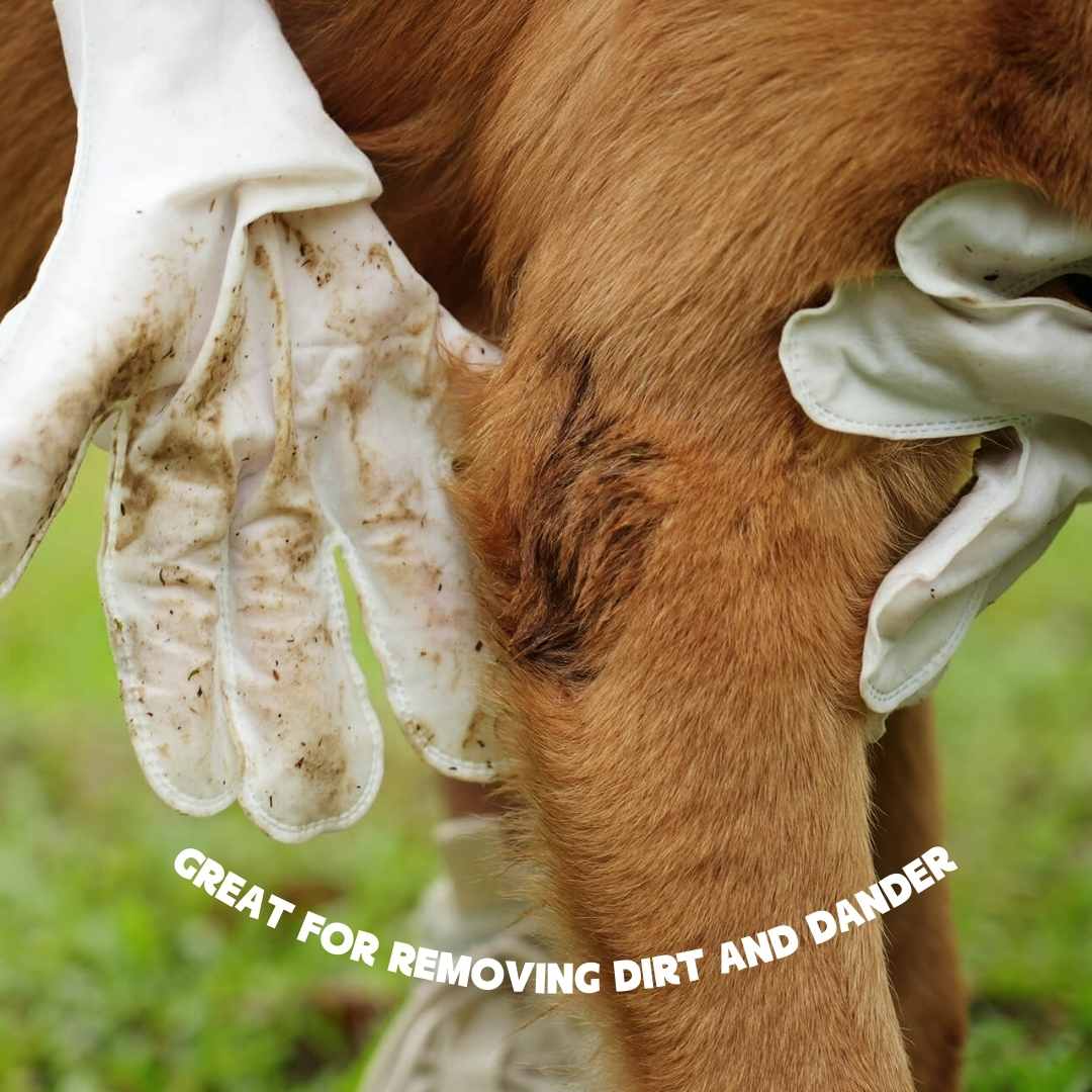 Pet Cleaning Gloves Fast & Gentle Wipes for Everyday Hygiene