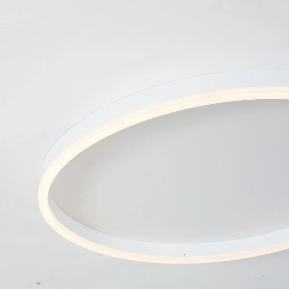 Round LED Flush Mount Ceiling Light for Living Room