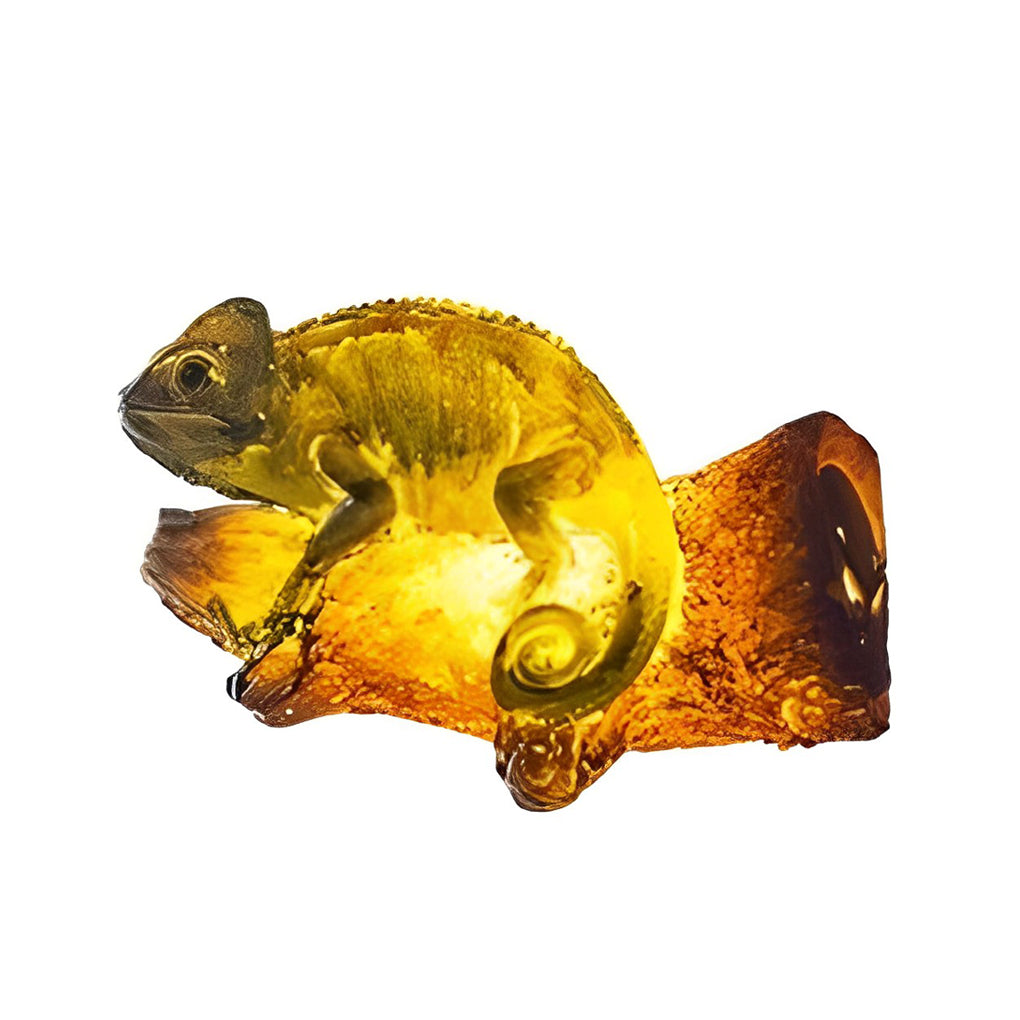 Waterproof LED outdoor lighting – Solar lamps in the shape of animals for the garden