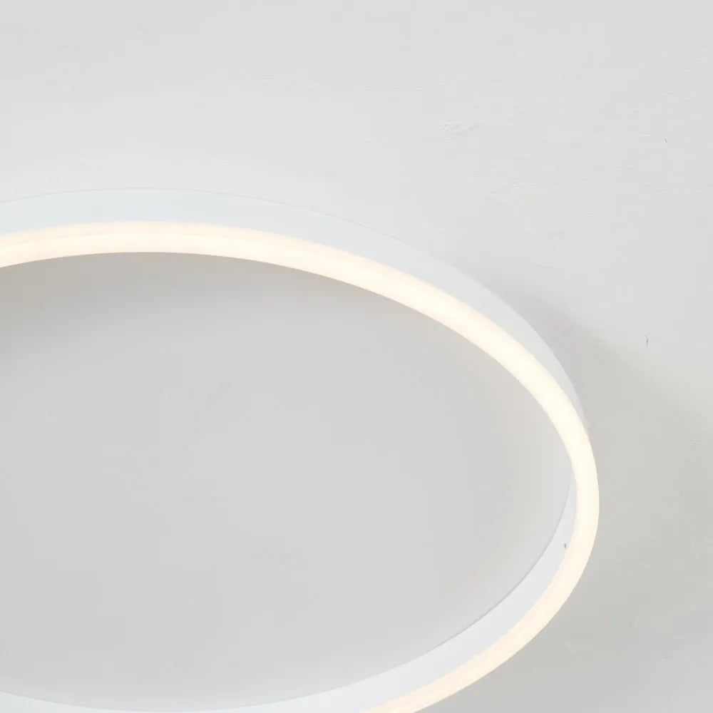 Round LED Flush Mount Ceiling Light for Living Room
