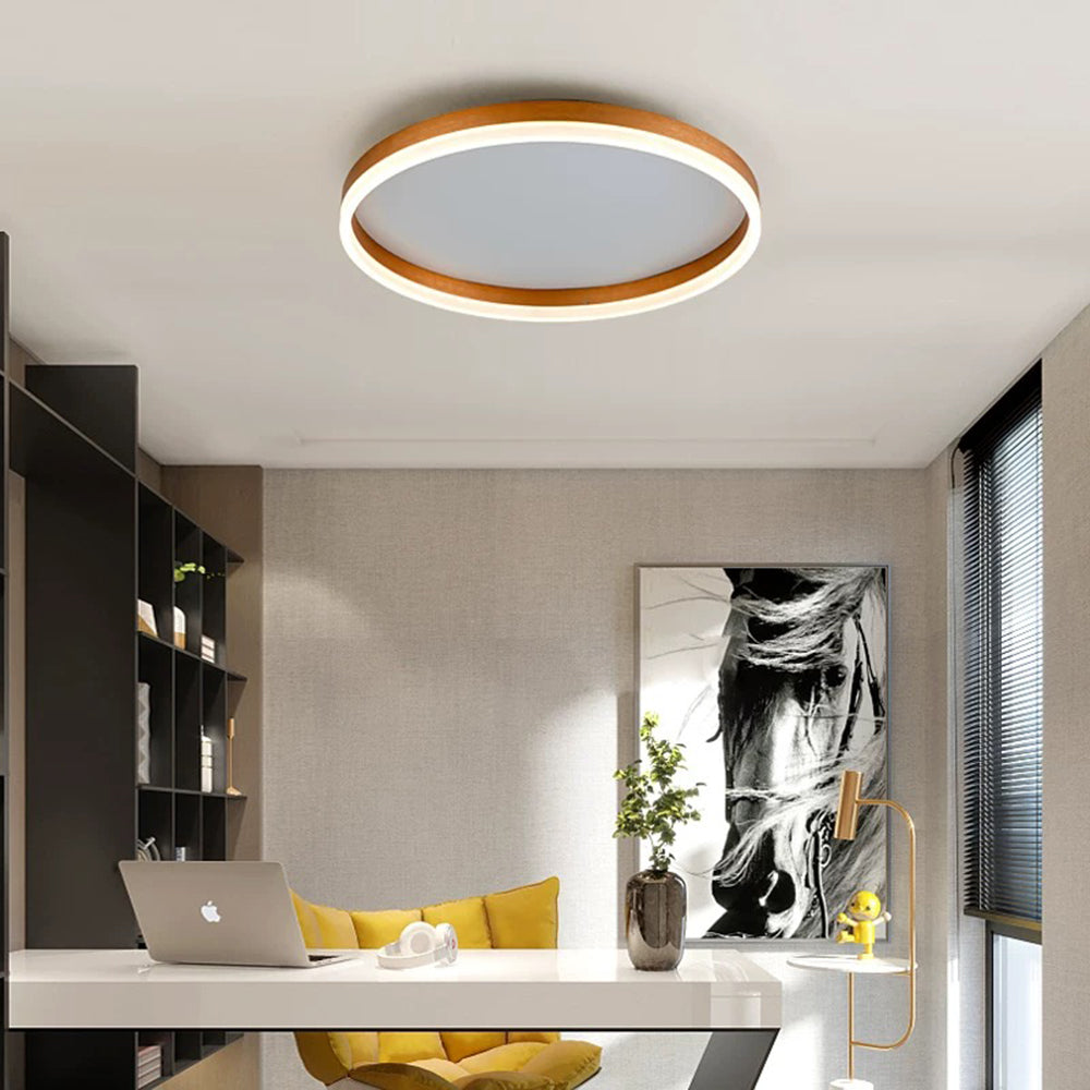 Round LED Flush Mount Ceiling Light for Living Room