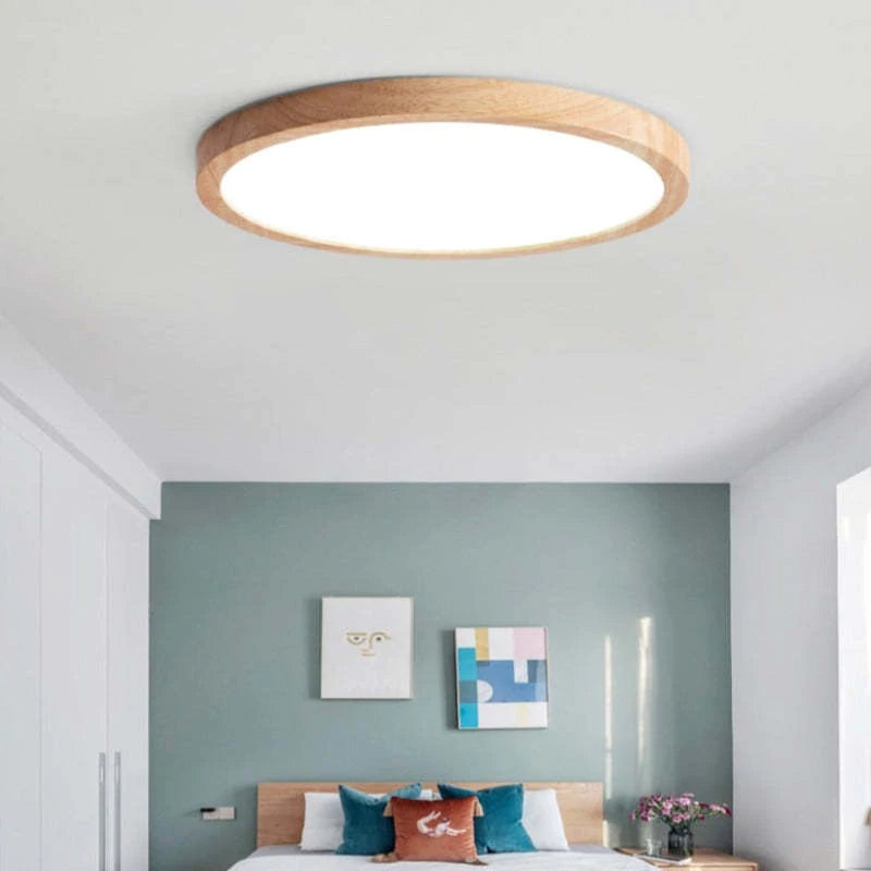Minimalist LED Ceiling Light Modern Dimmable Fixture for Living Room & Bedroom