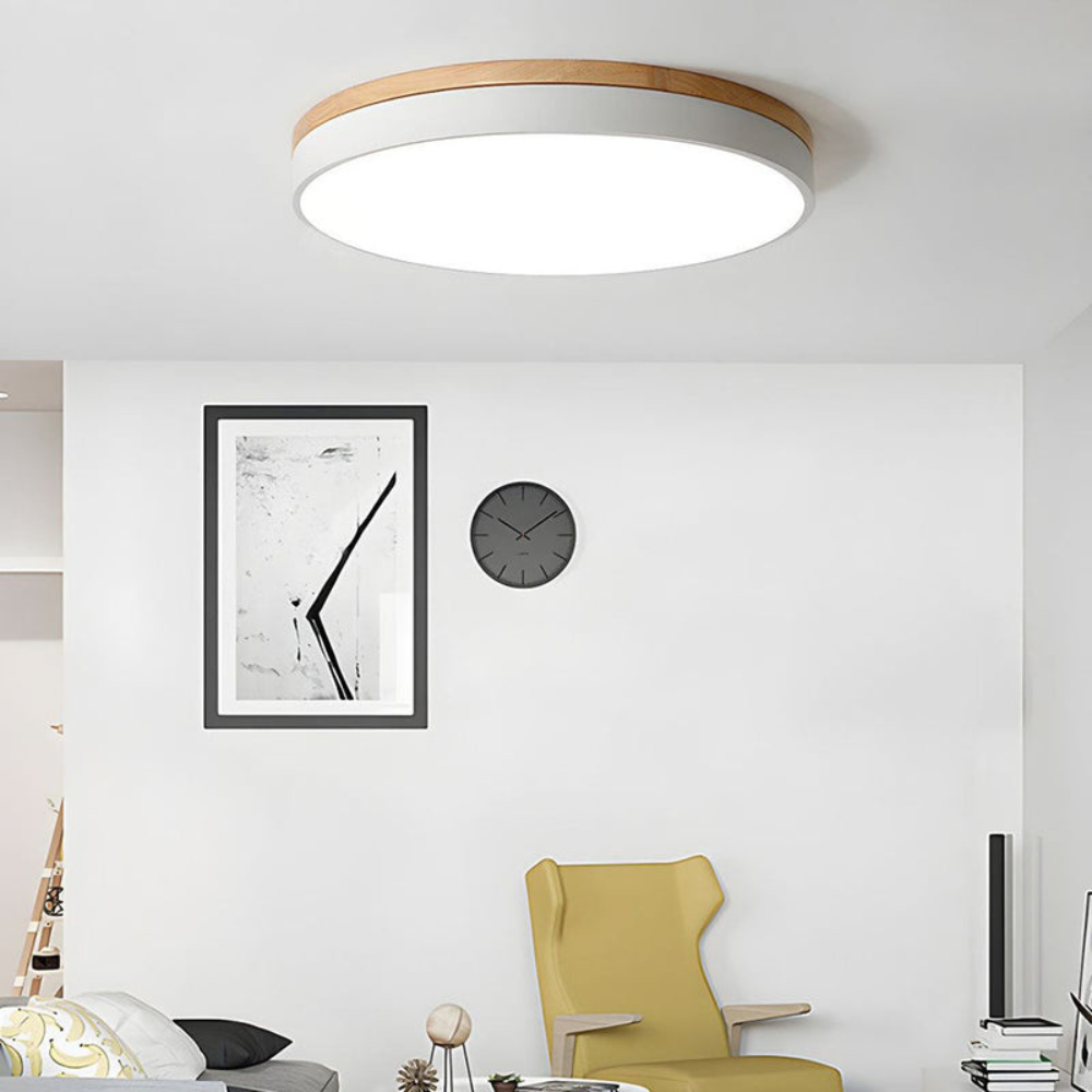 Flush Mount Ceiling Light Round Disc Design for Modern Interiors