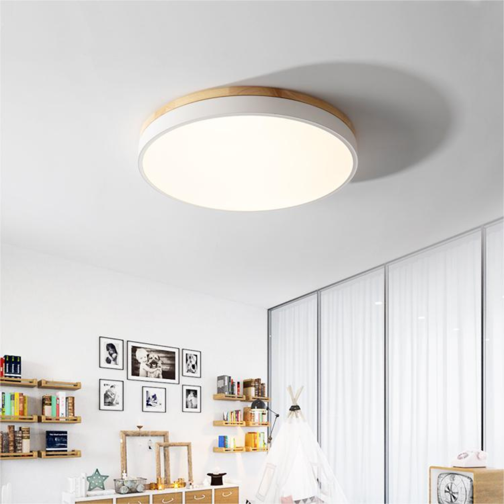 Flush Mount Ceiling Light Round Disc Design for Modern Interiors