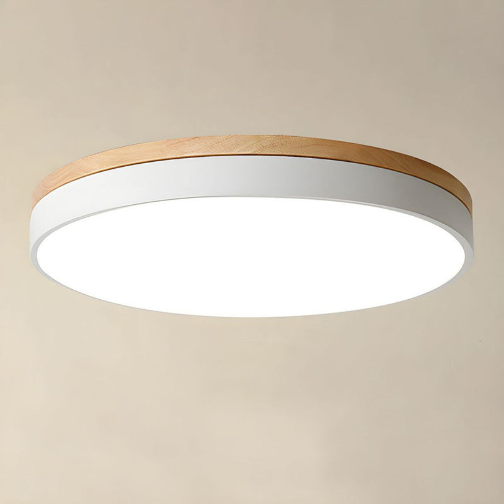 Flush Mount Ceiling Light Round Disc Design for Modern Interiors
