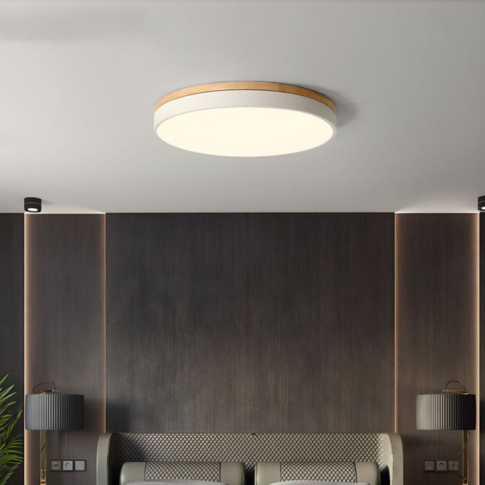 Flush Mount Ceiling Light Round Disc Design for Modern Interiors