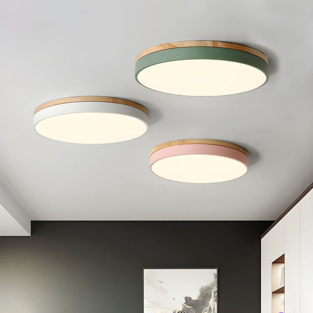 Flush Mount Ceiling Light Round Disc Design for Modern Interiors