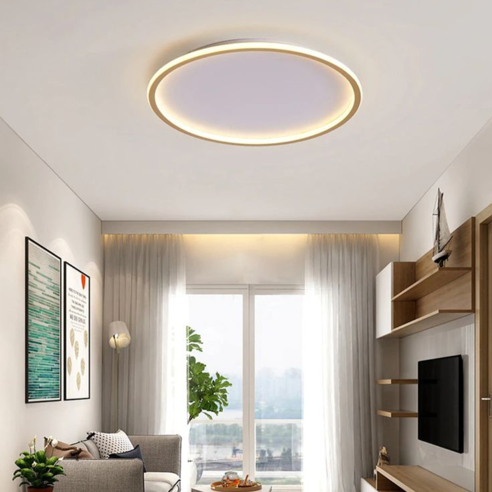 Modern Flush Mount Ceiling Light for Living Room