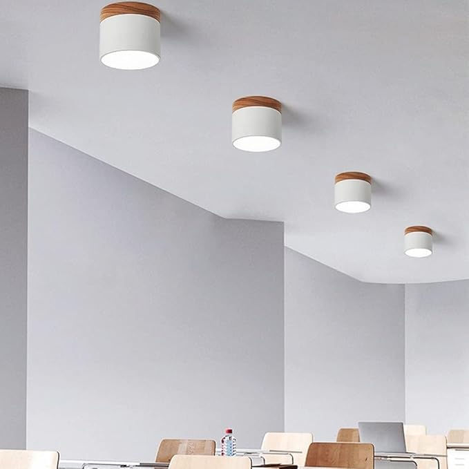 Minimalist Cylindrical LED Ceiling Light with Modern Dimmable Spotlight