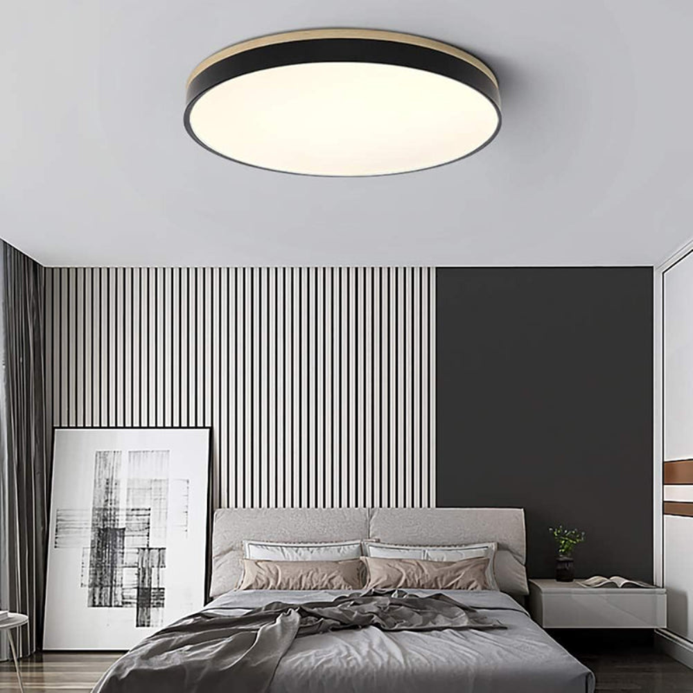 Flush Mount Ceiling Light Round Disc Design for Modern Interiors