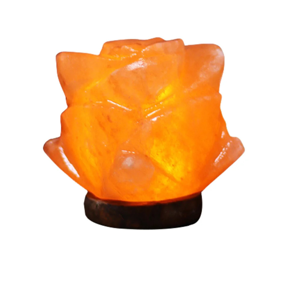 Himalayan Salt Lamp Crystal Rock LED Night Light with Wooden Base