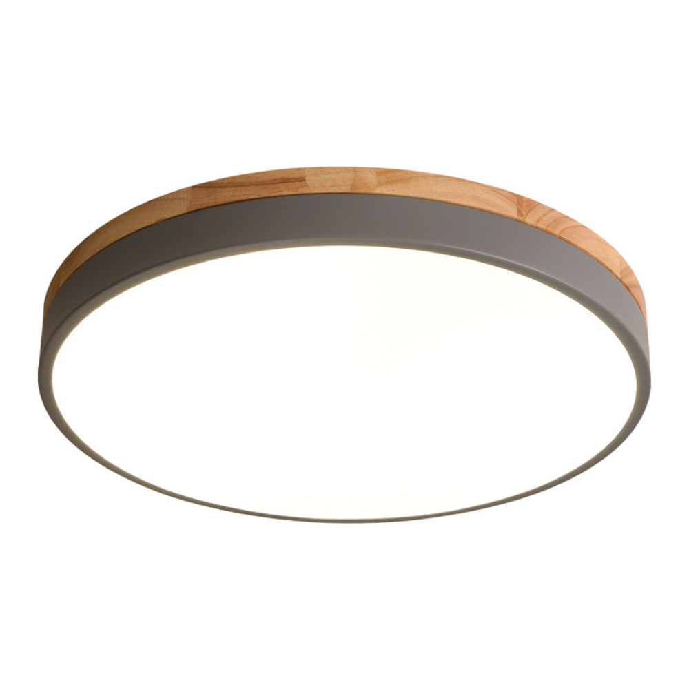 Flush Mount Ceiling Light Round Disc Design for Modern Interiors