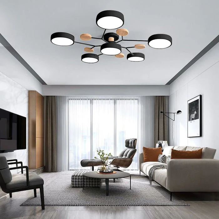 Ceiling Light Modern LED Flush Mount Chandelier