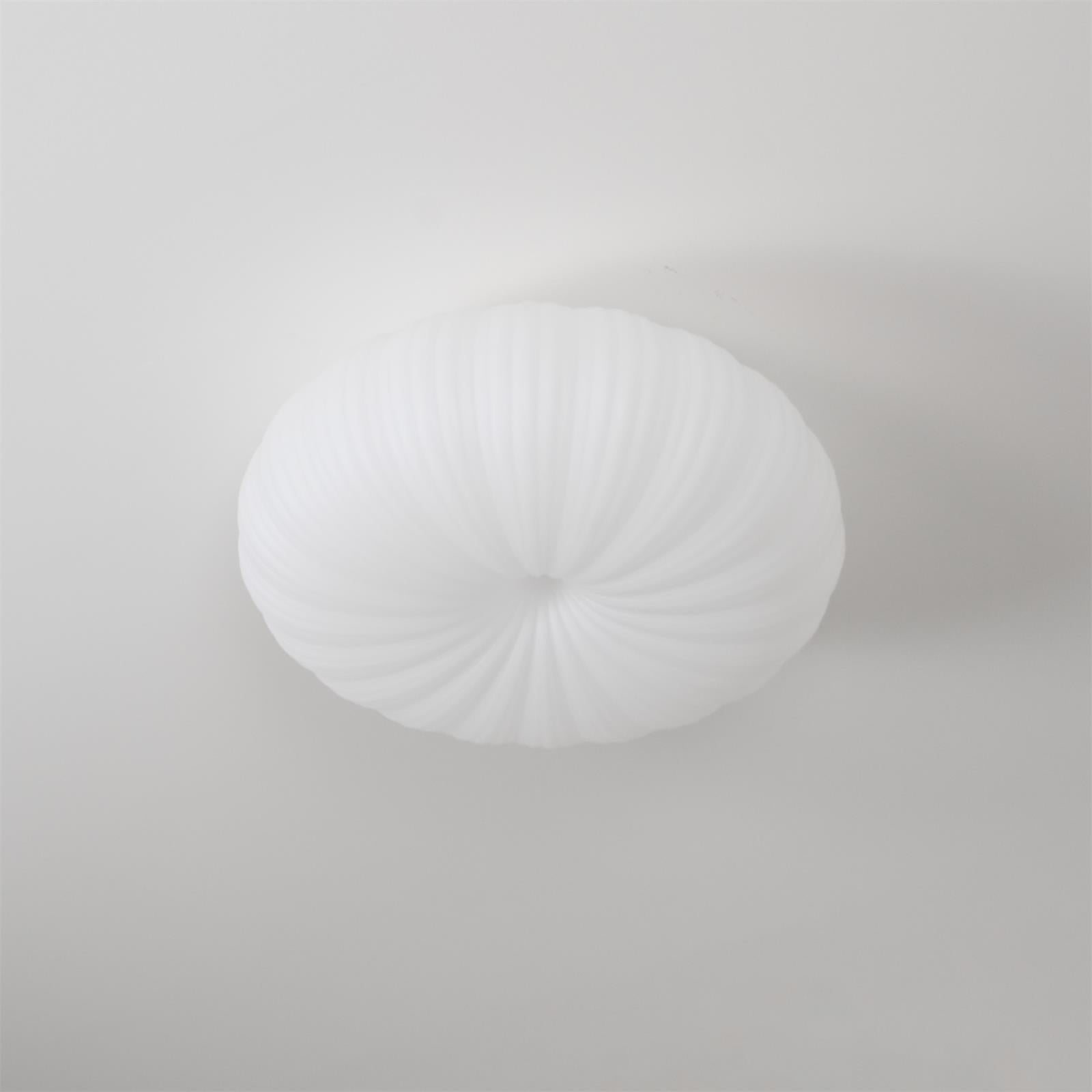 Remote Controlled Living Room LED Ceiling Light