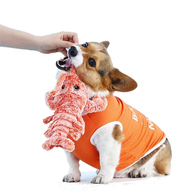 Interactive Wiggly Lobster Dog Toy for Fun
