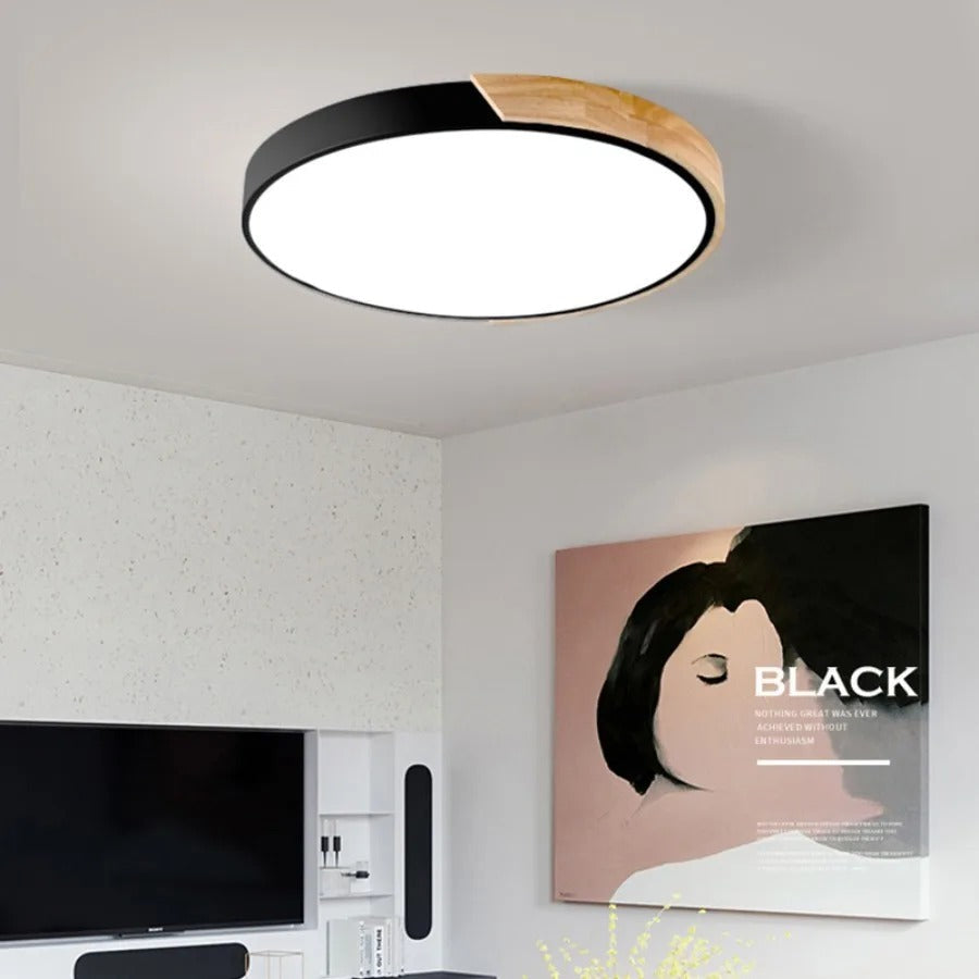 Minimalist Modern Round LED Flush Ceiling Light