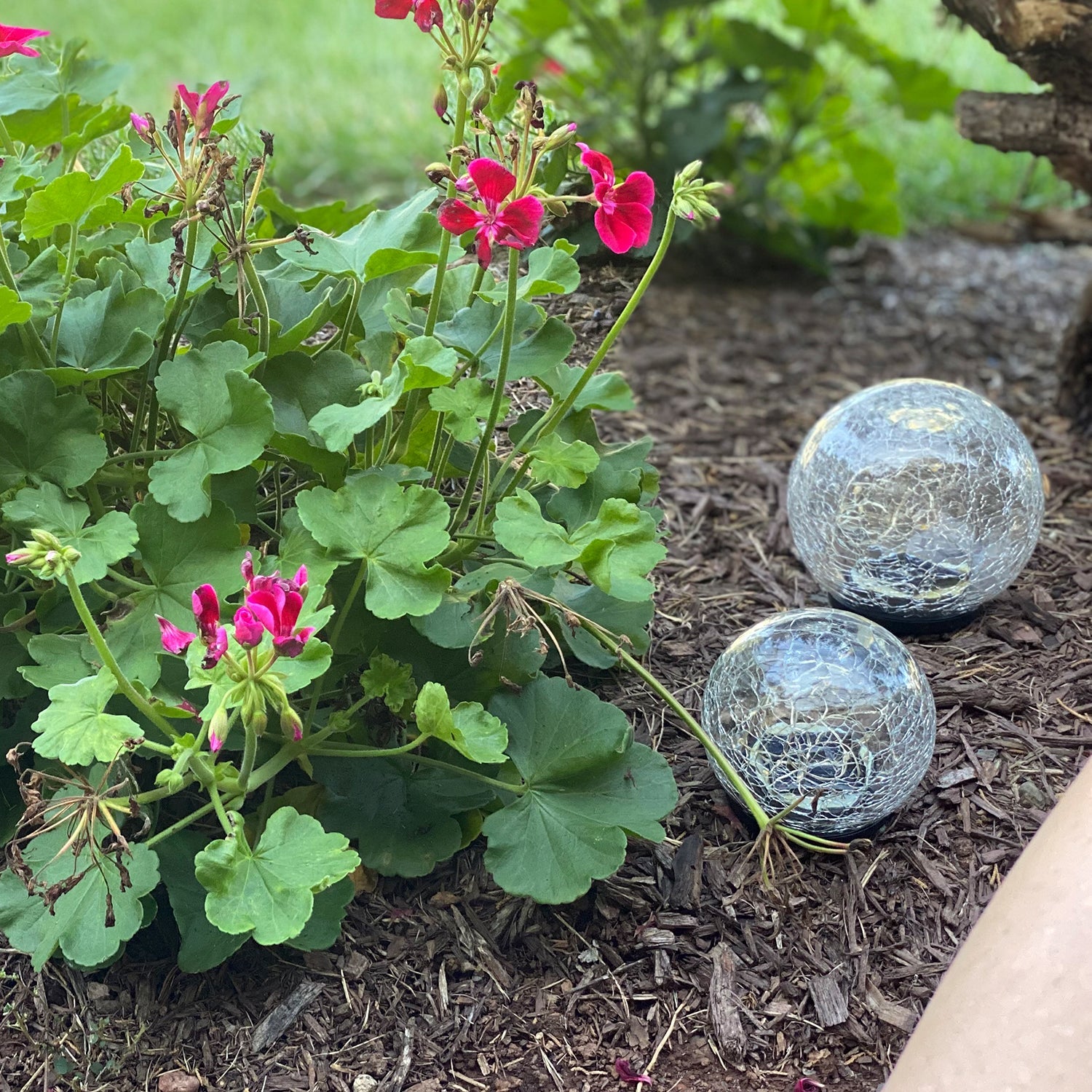 Glass solar lamp with fairy lights