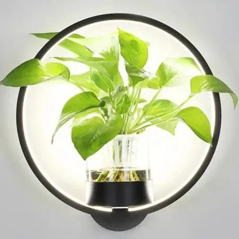 Fixture wall lamp with plant hanger