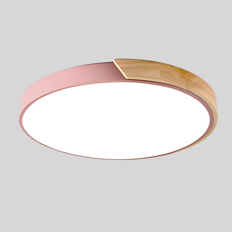 Minimalist Modern Round LED Flush Ceiling Light