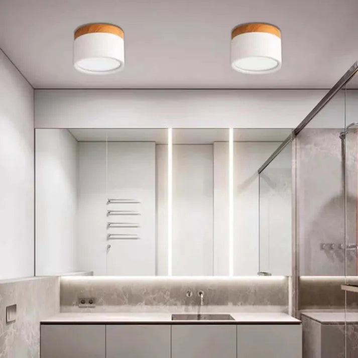 Minimalist Cylindrical LED Ceiling Light with Modern Dimmable Spotlight