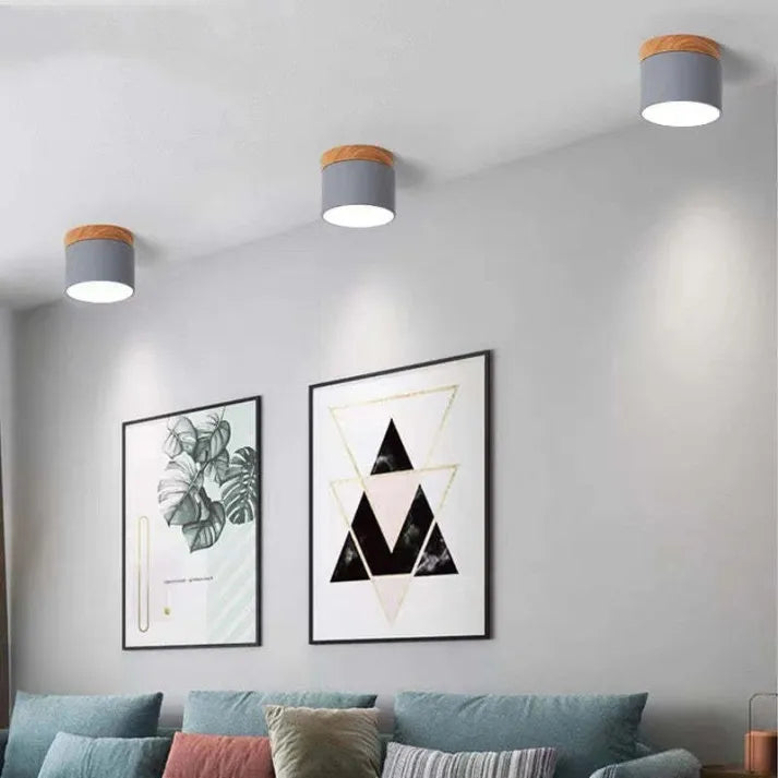Minimalist Cylindrical LED Ceiling Light with Modern Dimmable Spotlight