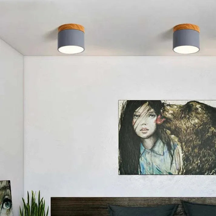 Minimalist Cylindrical LED Ceiling Light with Modern Dimmable Spotlight