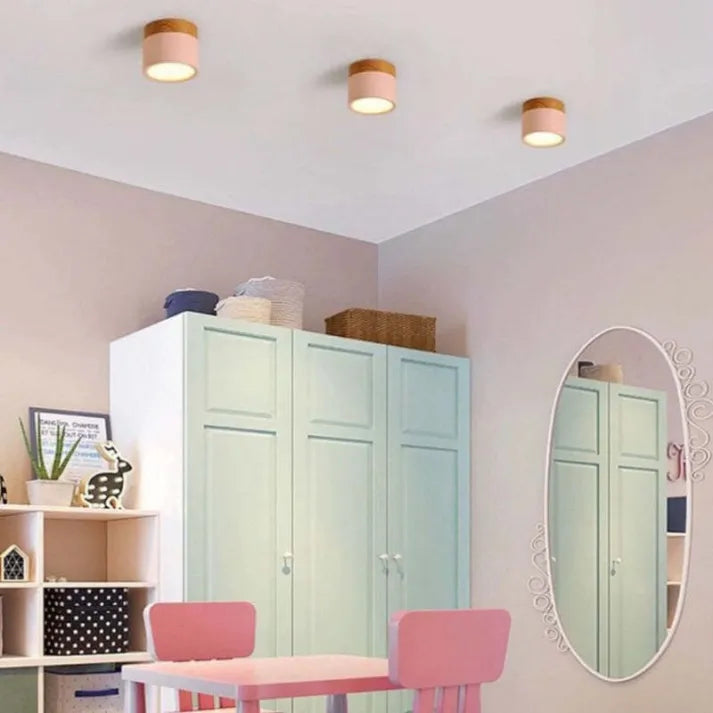 Minimalist Cylindrical LED Ceiling Light with Modern Dimmable Spotlight