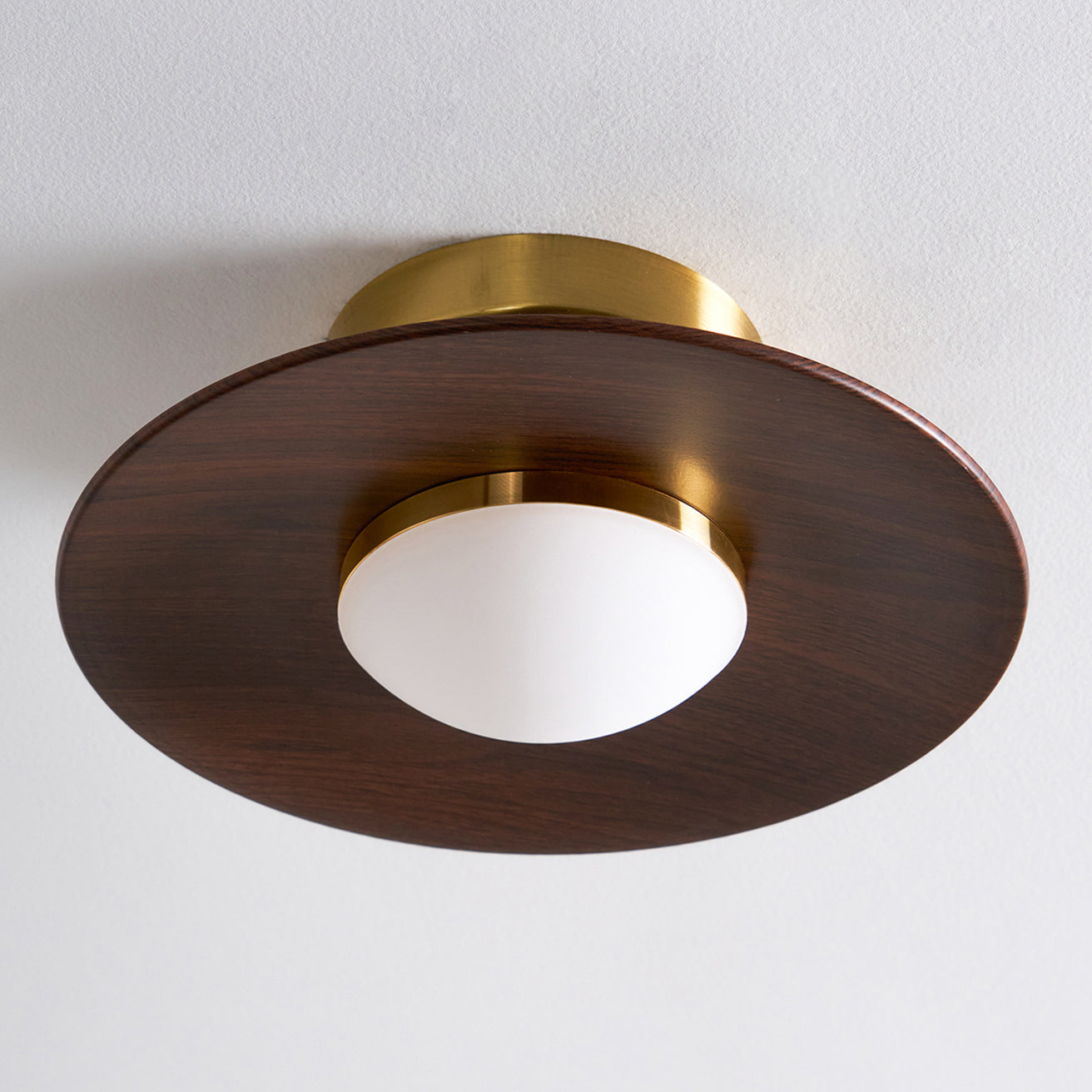Modern Ceiling Light Elegant LED Flush Mount