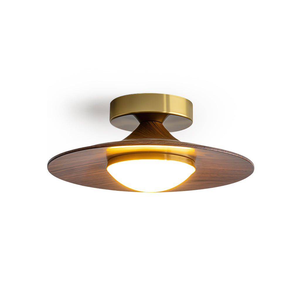 Modern Ceiling Light Elegant LED Flush Mount