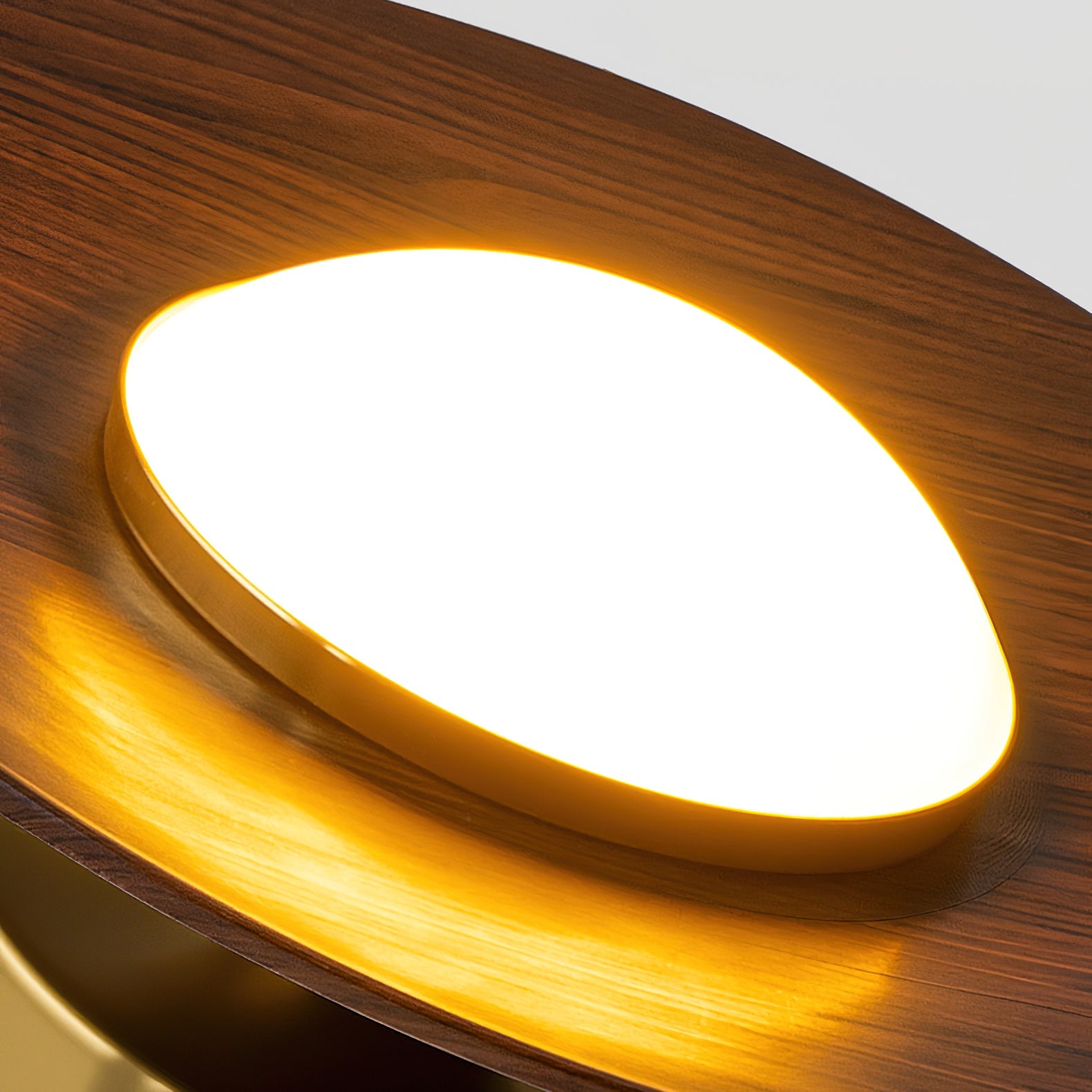 Modern Ceiling Light Elegant LED Flush Mount