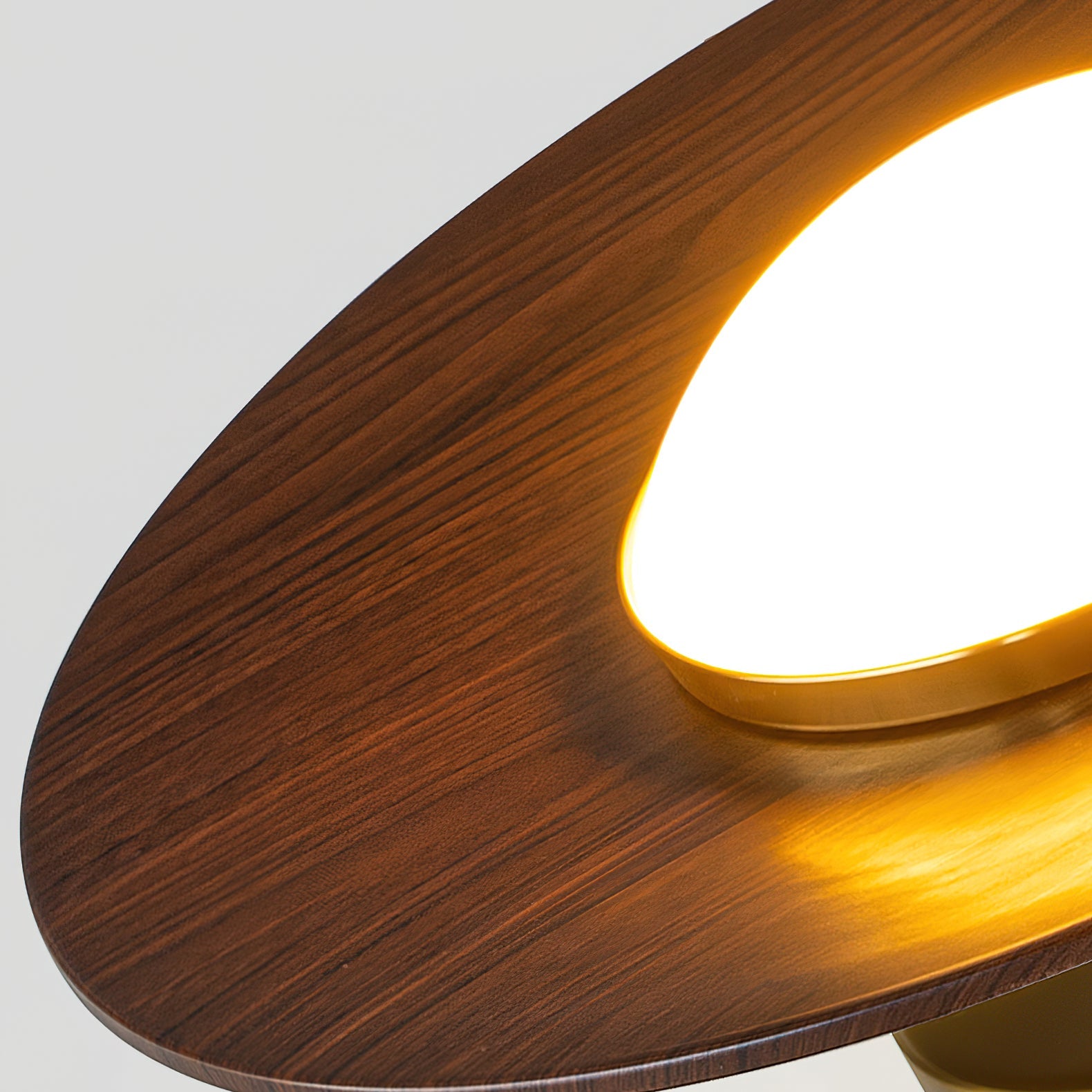 Modern Ceiling Light Elegant LED Flush Mount
