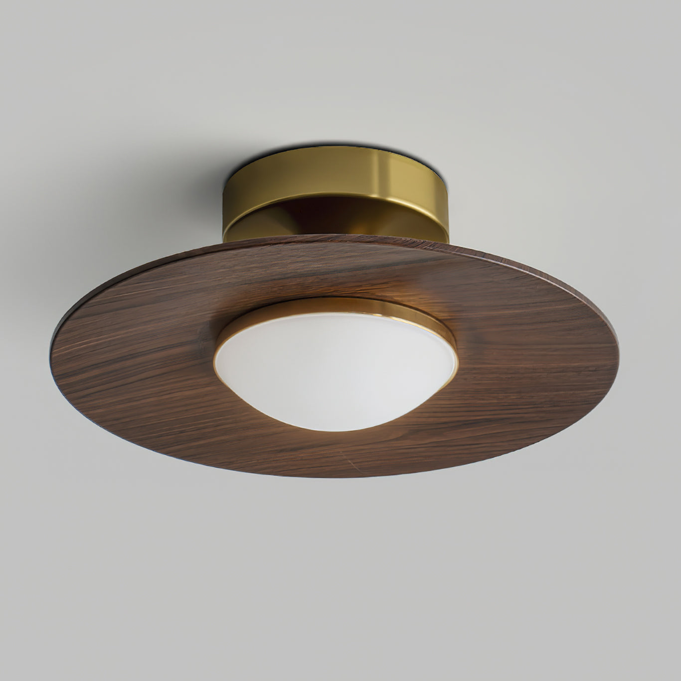 Modern Ceiling Light Elegant LED Flush Mount