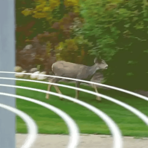 Garden Ultrasonic Rabbit Repeller Solar Powered Outdoor Pest Deterrent