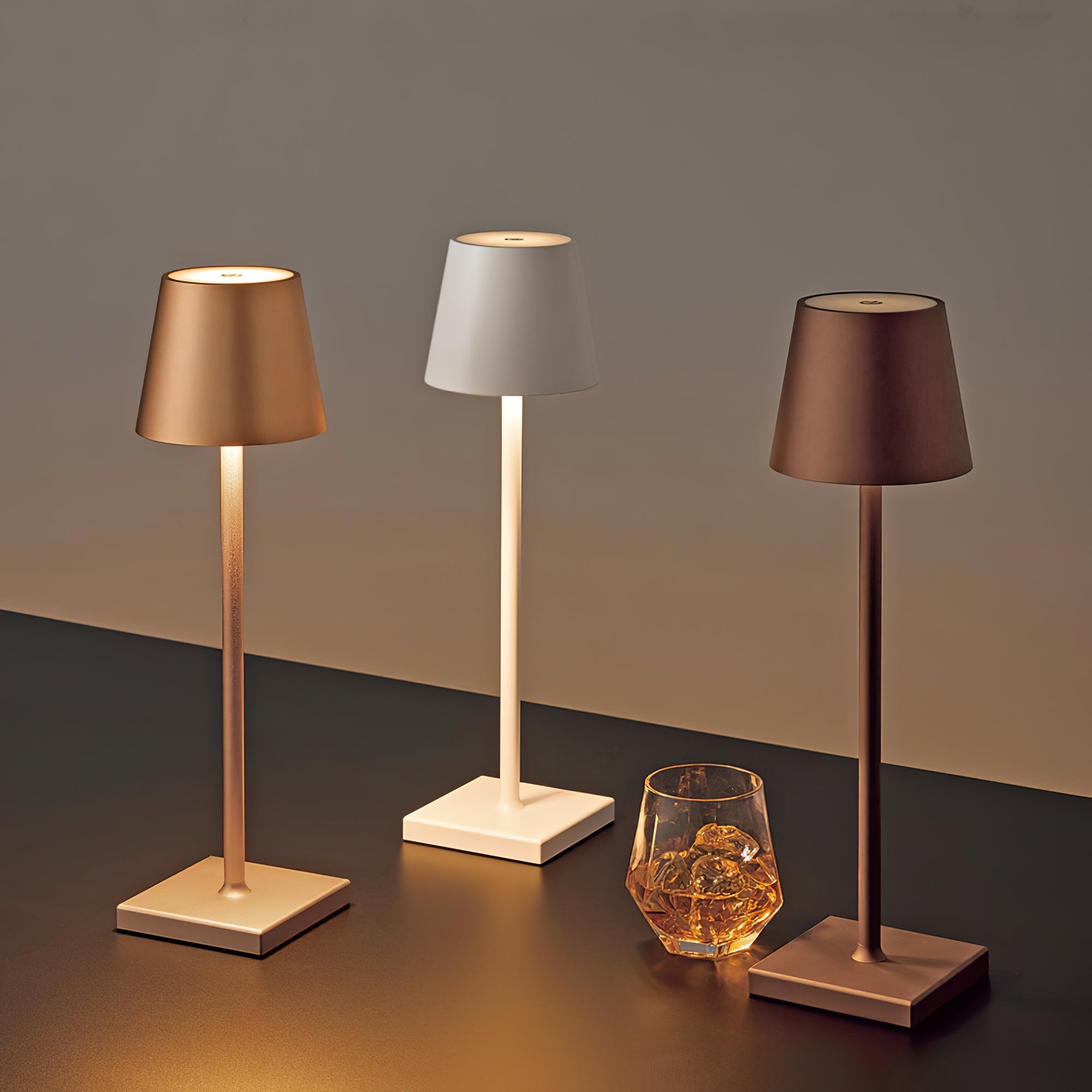 Portable LED Table Lamp Dimmable Metal Light for Indoor & Outdoor Use